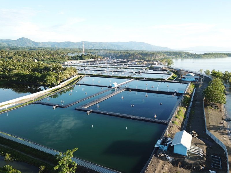 HDPE Geomembrane for Fish Farm