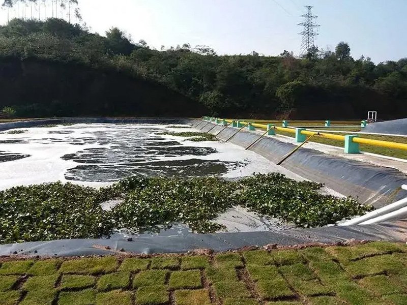 Large Pond Liners for Fish Farm Project
