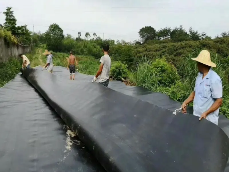 geomembrane application