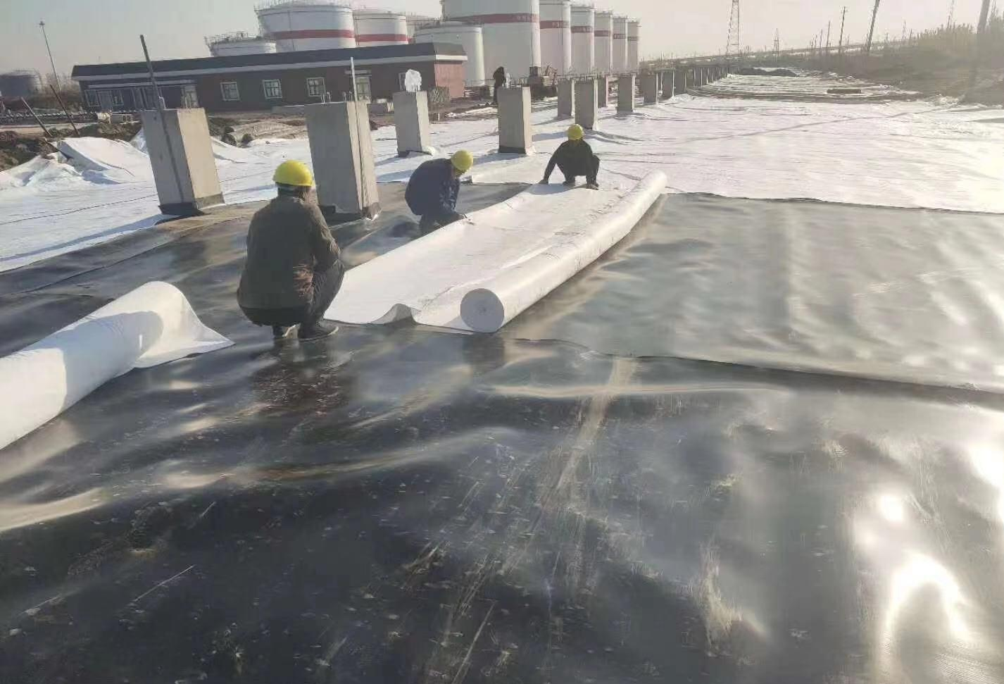 What Are Disadvantages Of Bituminous Geomembrane For Mining Projects