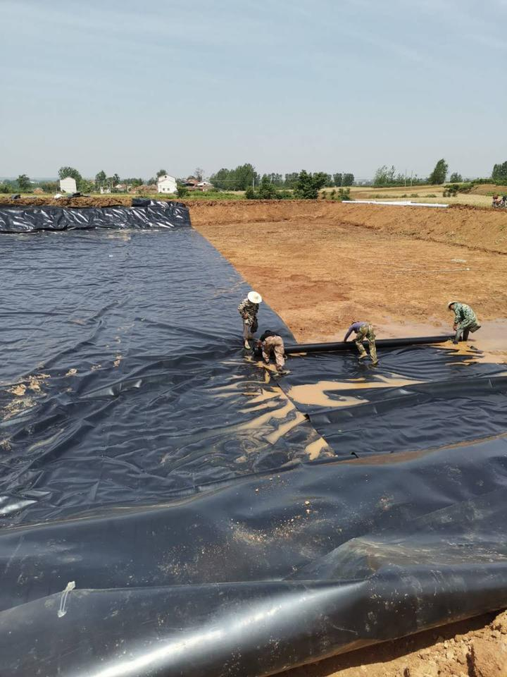 Top 7 Global Geomembrane Manufacturers in Thailand