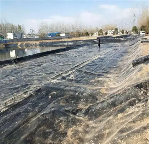 The 6 Best Pond Liner Manufacturers in Argentina