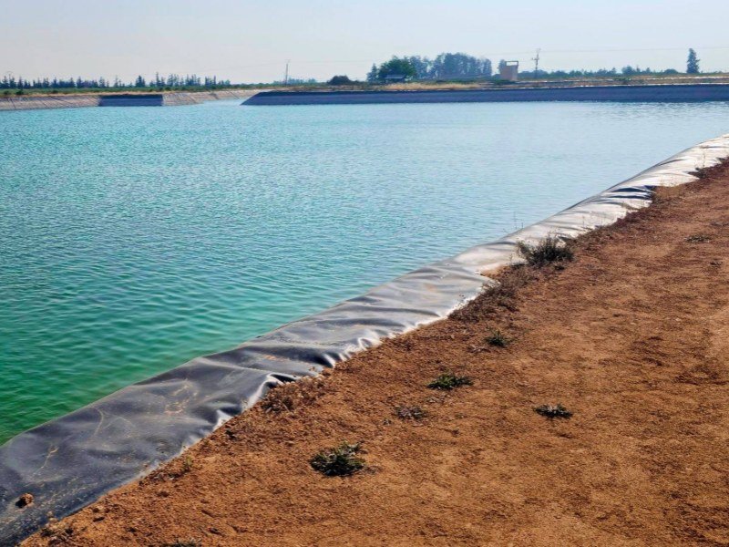 How Much Is geomembrane 500 micron Price