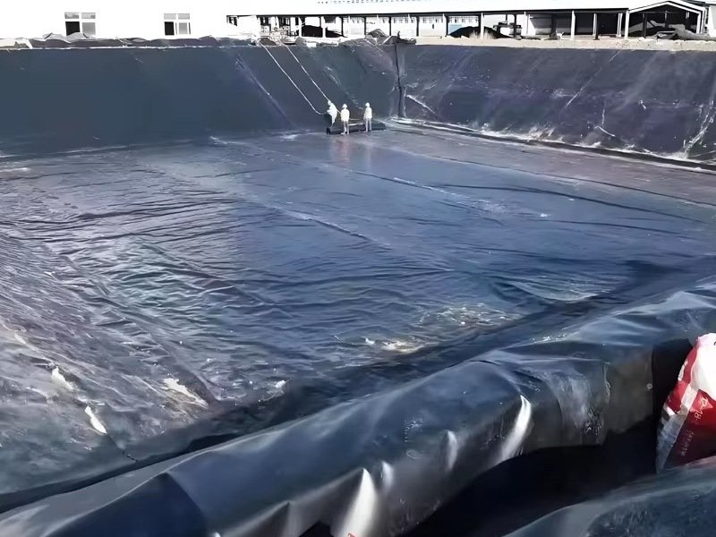 Top 7 Global Pond Liner Manufacturers