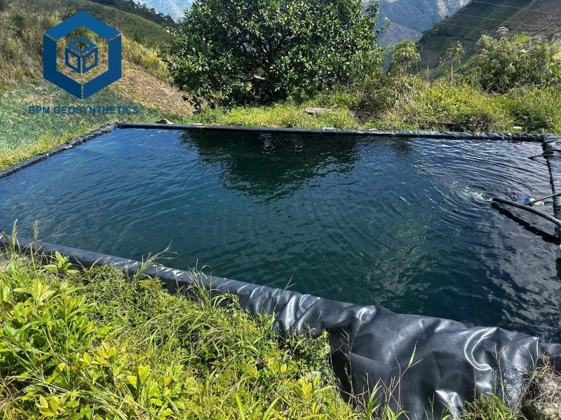 Top 5 Pond Liner Suppliers Near Me