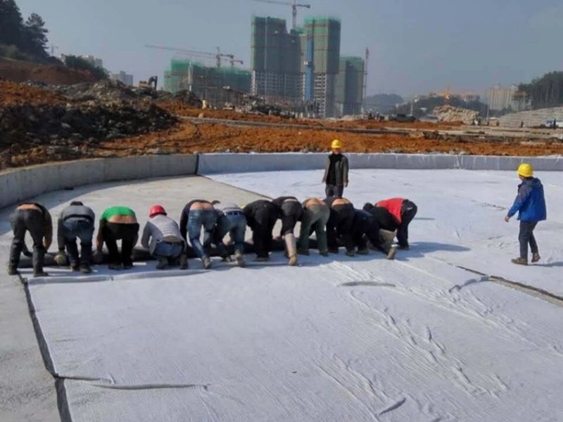 The 7 Best Geotextile Filter Cloths Review