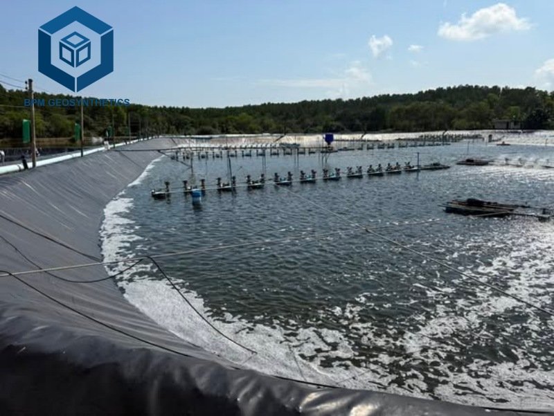 Top 10 Best Geomembrana 1mm Reviewed