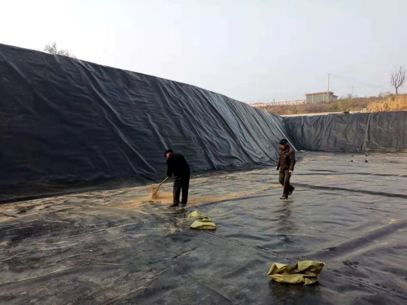 The 6 Best Non Woven Geotextile Membranes List