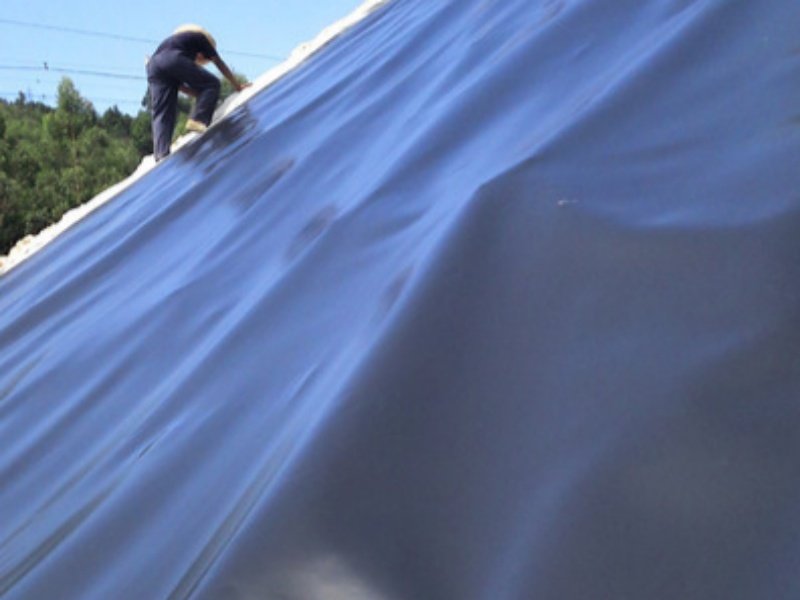 The 6 Best Bituminous Geomembranes Review