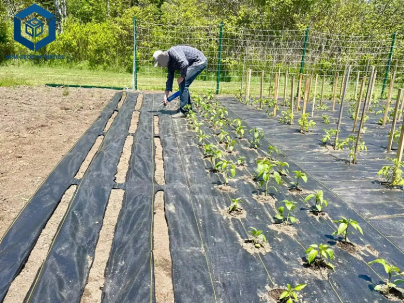 Top 40 Geotextile Suppliers in 2026