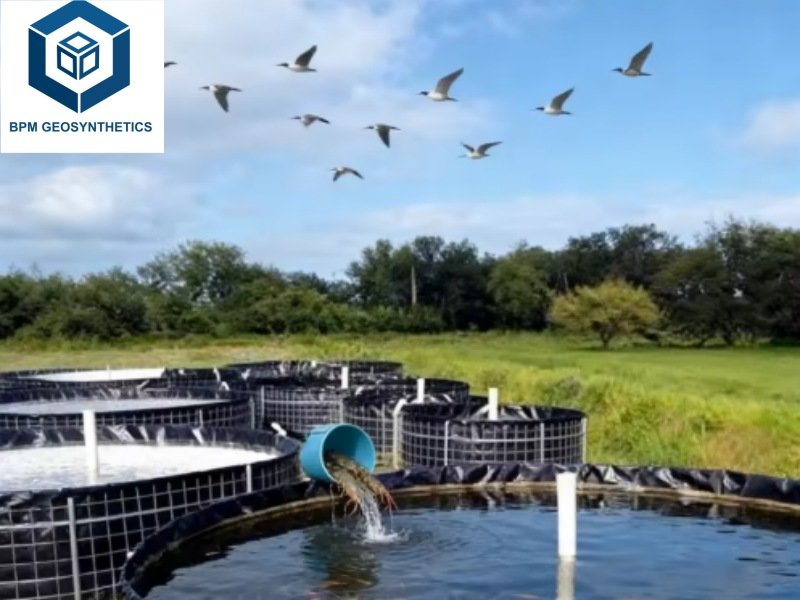 TOP 5 HDPE Geomembrane Supplier in Australia