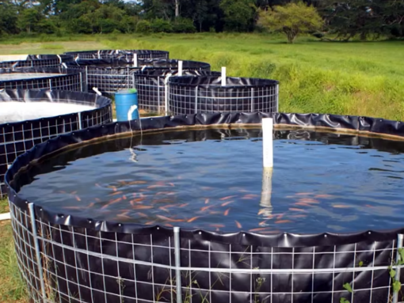 The 8 Best 20 mil HDPE Liners Review