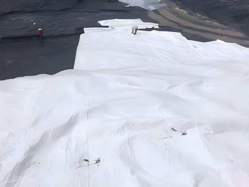 The 7 Best Geotextile Landscape Fabric List