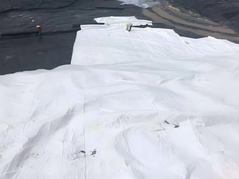 The 7 Best Geotextile 150g M2 Review