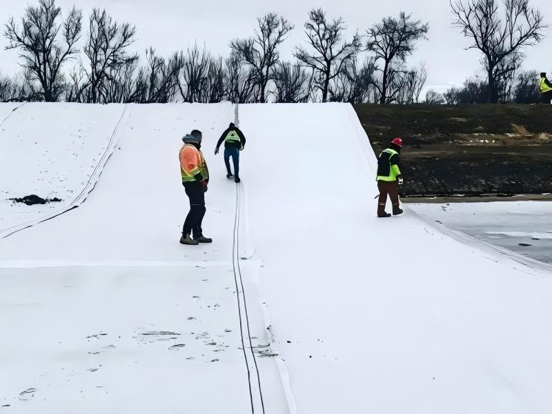 The 7 Best Geotextile Landscape Fabric List