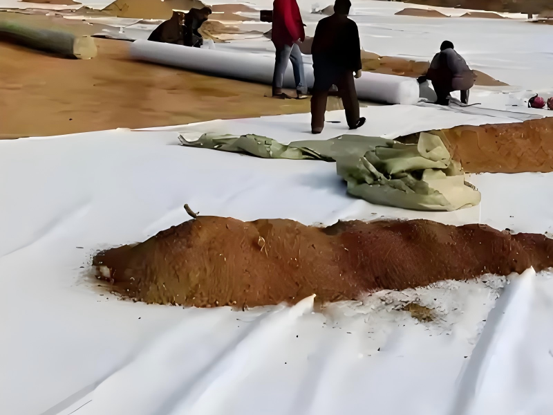 The 8 Best Harga Geotextile Non Woven per m2 Manufacturers In Vietnam