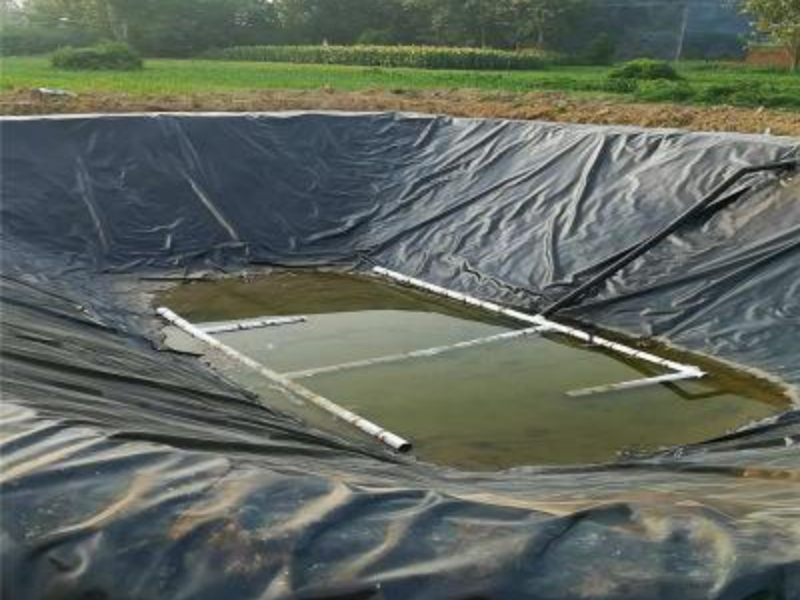 Top 7 EPDM Geomembranes Review