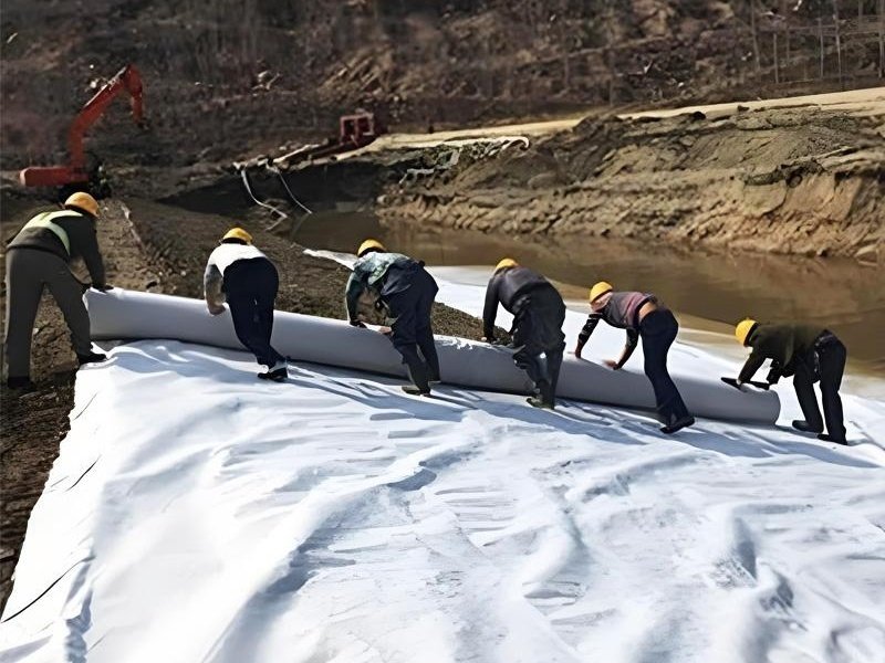 The 7 Best Geotextile Slope Protection Reviewed