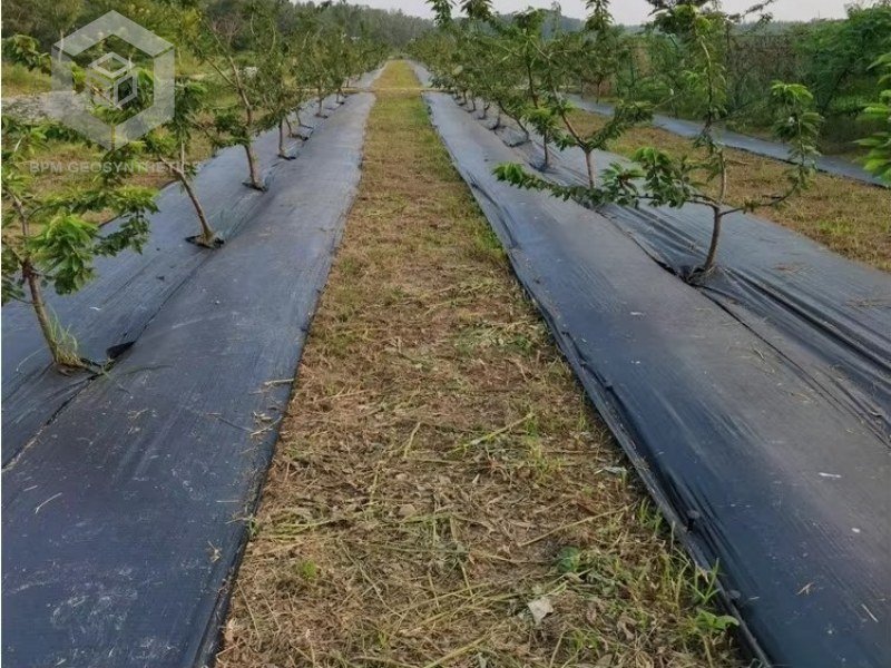 What Is the Difference Between Woven and Non Woven Geotextile