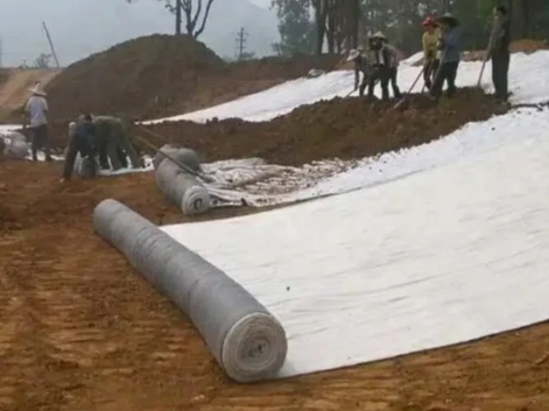 What Does Bentonite Clay Pond Liner Cost